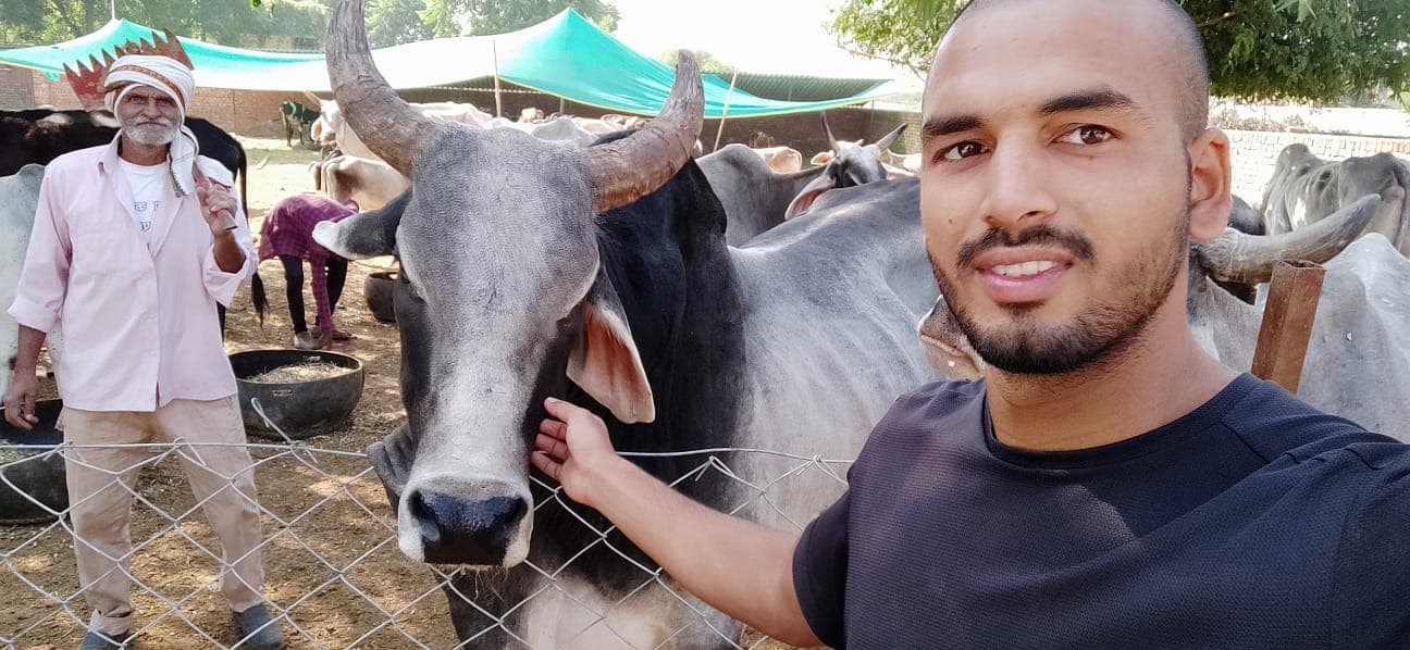 Happy Gau Mata