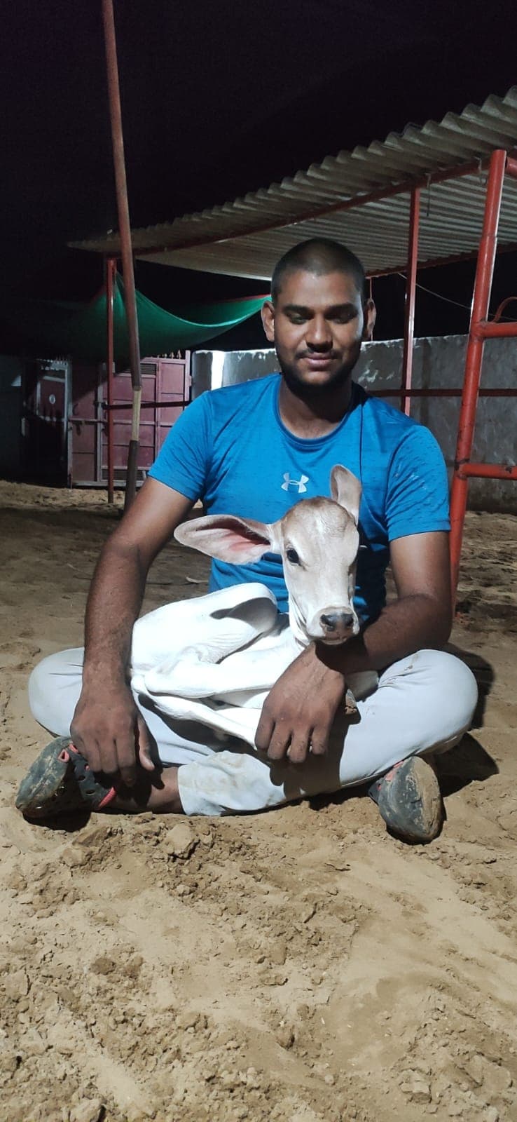 Happy Gau Mata